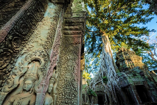Angkor Wat Sunrise & All Highlight Angkor Temple Private Day Tour - Ta Nei and Ta Prohm: from stone order to the kingdom of trees