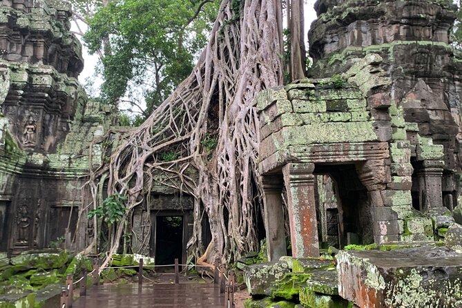 Angkor Wat Sunrise and Angkor Thom Sunset Tour - Angkor Thom and South Gate sunset: the way to end strong