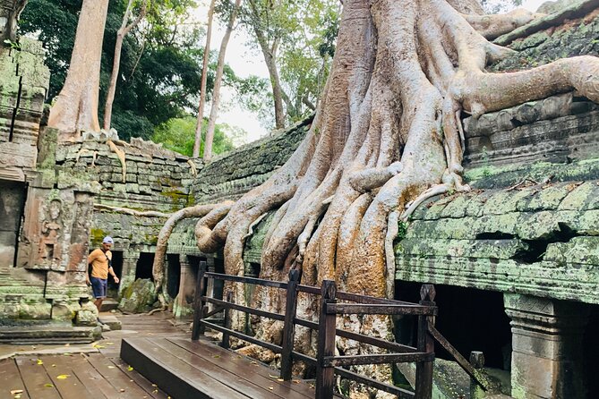 Angkor Wat Sunrise and Angkor Thom Sunset Tour - Who this private sunrise and sunset tour fits best