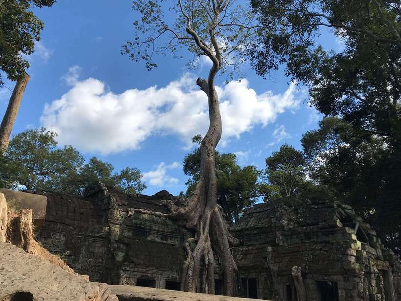 Angkor Wat Sunrise by Vintage Jeep – Private Tour - Vintage Jeep comfort, what you really need, and why it matters