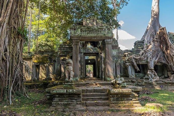 Angkor Wat Sunrise: Exclusive Private Tour! - Stop 2: Angkor Thom and Bayon Temple, the South Gate scene