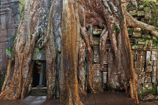 Angkor Wat Sunrise or Sunset Tour with Guide from Siem Reap - How to plan your day around 8 hours of temple time