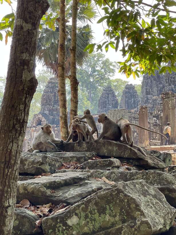 Angkor Wat Sunrise Private Full Day Tour - Elephant Terrace Photo Stop: Royal Ceremonies in Stone