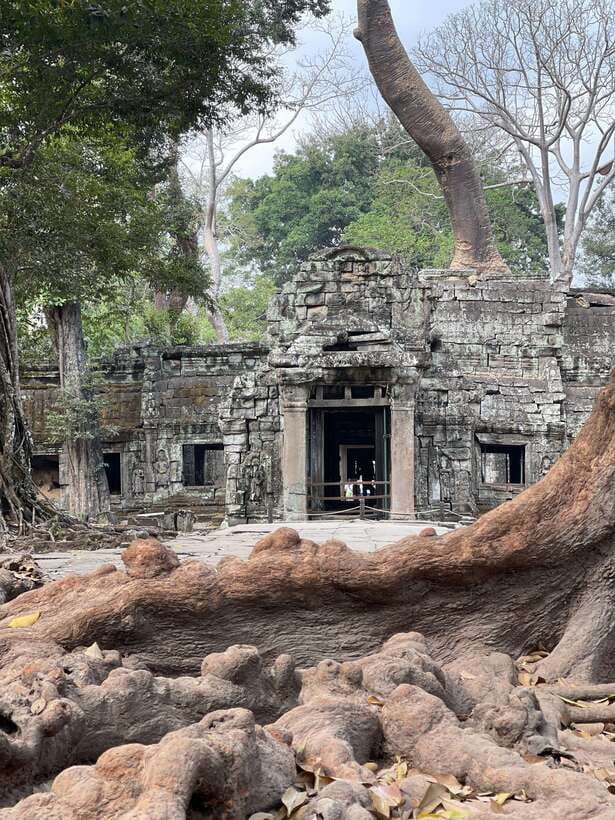 Angkor Wat Sunrise Private Full Day Tour - Terrace of the Leper King: Small Stop, Specific Mood
