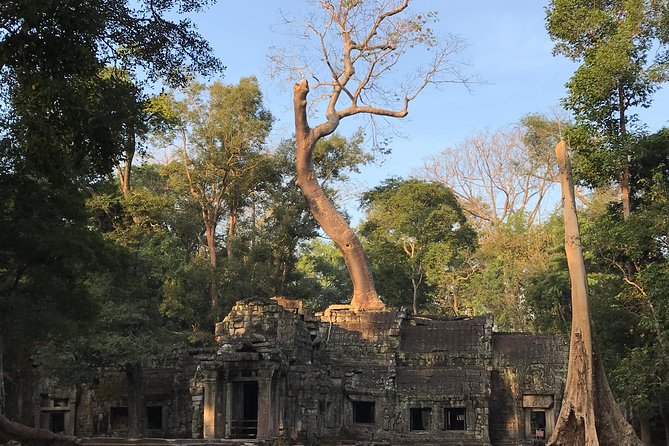 Angkor Wat Sunrise Private Tour by Vintage Jeep - Why a 4:40 a.m. Vintage Jeep sunrise works so well