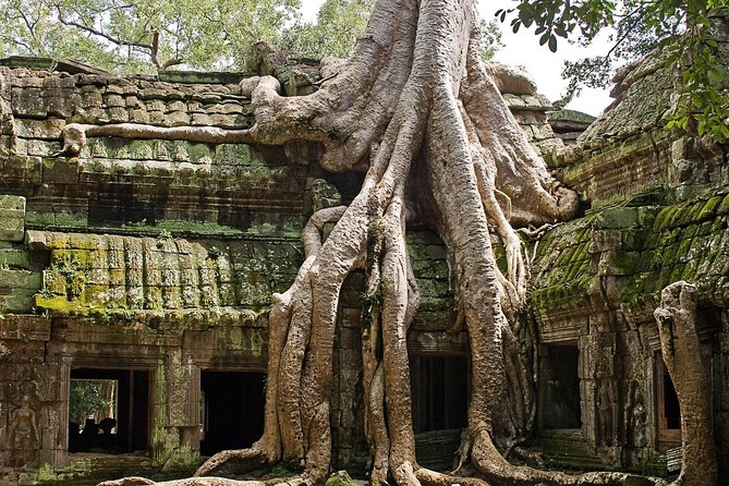 Angkor Wat Sunrise & Small Circuit Tour - The small circuit stops, from Ta Prohm to Banteay Kdei