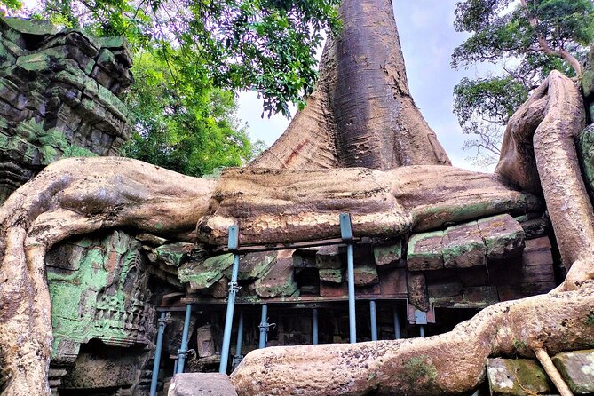 Angkor Wat Sunrise, Ta Promh, Banteay Srei, Bayon Private Tour - Angkor Thom and Bayon: Gates, Terraces, and Stone Faces