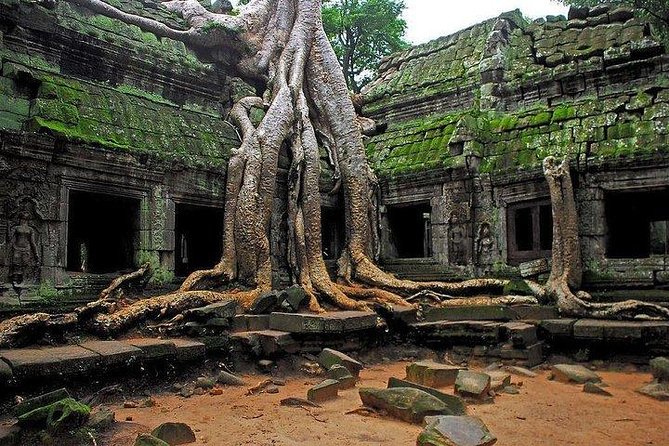 Angkor Wat Sunrise Tour - Who this tour suits best, and who might prefer to go different