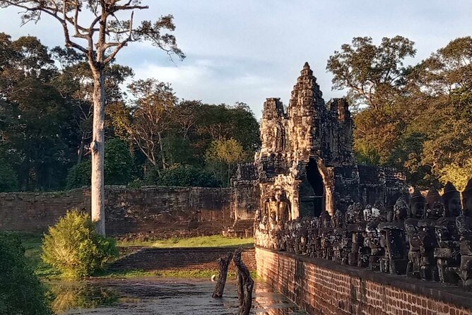 Angkor Wat Sunrise Tours to Bayon and Ta Prohm Temple - Price and value: $95 per group, plus the $37 ticket