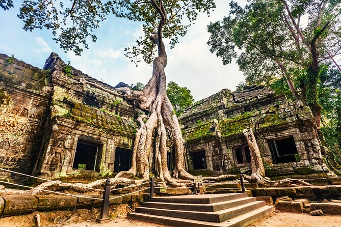 Angkor Wat, Ta Promh, Banteay Srei, Bayon temples Private Tour - Ta Prohm: The Temple Where Nature Keeps a Chair
