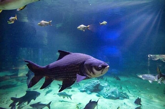Angkor Wildlife & Aquarium Halfday tour - Who this tour suits best, and who might skip it