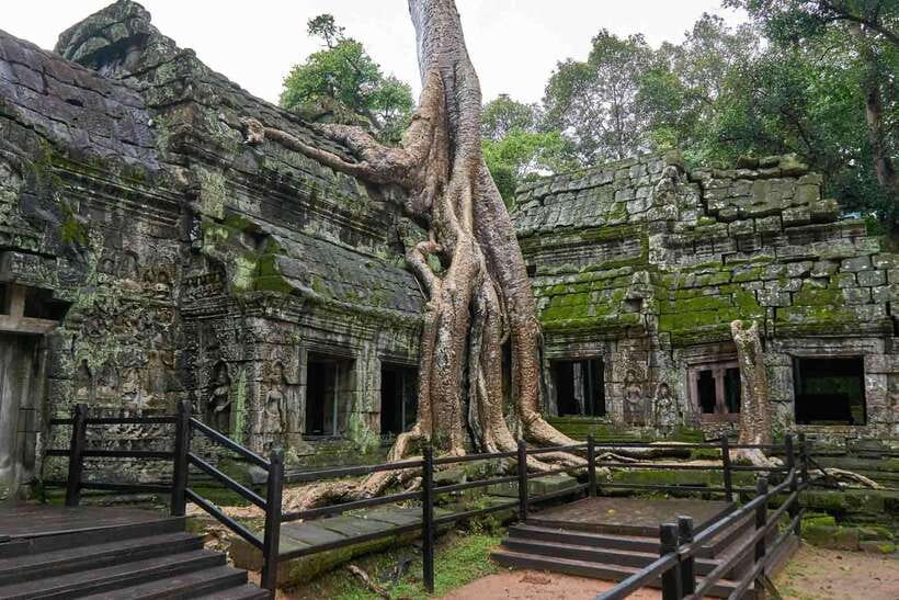 Angkor Zipline and Temple Tour with Sunset - Orchid House Zipline: Silver Course, Safety Brief, and Jungle Views