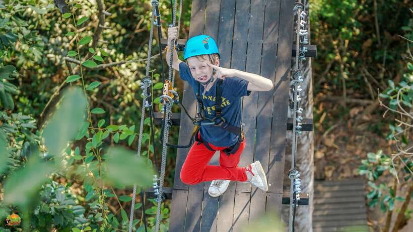 Angkor Zipline Eco-Adventure Canopy Tour - 6 things you’ll notice about Angkor Zipline’s canopy route