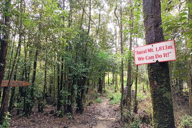 Aural Mountain Trek: Cambodia Tallest Peak Challenge - Day 3: Summit to Aural Mountain (1,813 m) and one last night under the stars