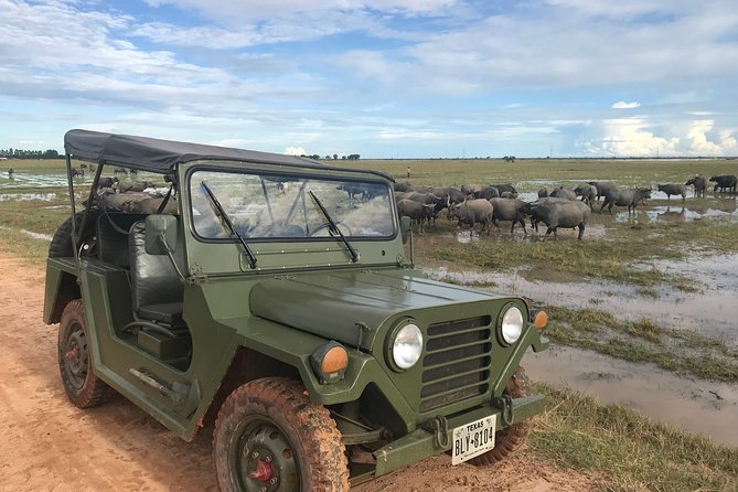 Authentic Cambodian Countryside Jeep Experience - Rice fields, ducks crossing the road, and everyday farming life