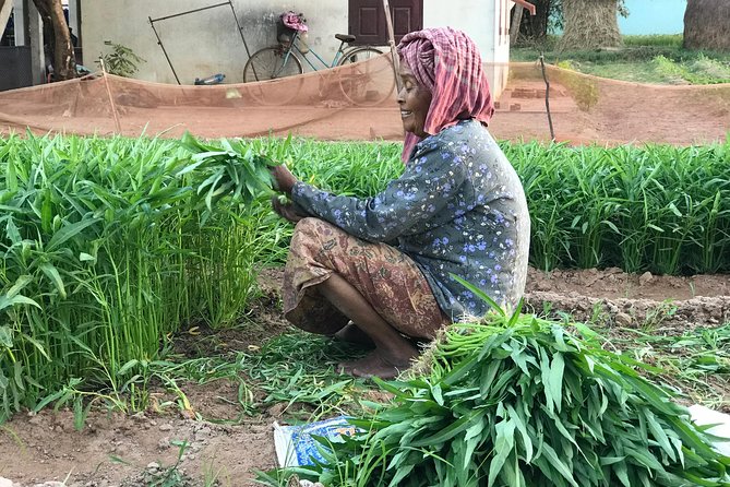 Authentic Cambodian Countryside Jeep Experience - The traditional market stop: a fast taste of village variety