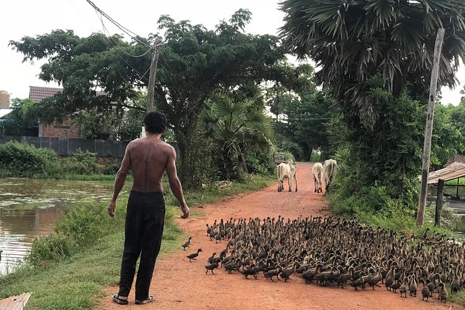 Authentic Cambodian Countryside Jeep Experience - Price and what $49 actually buys you