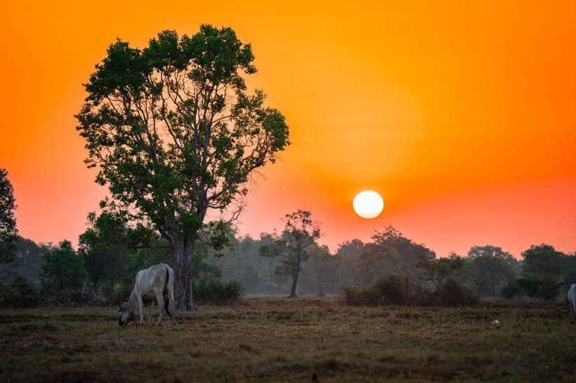 Authentic Siem Reap: Tuk Tuk Countryside and Sunset Tour - Key points you will care about