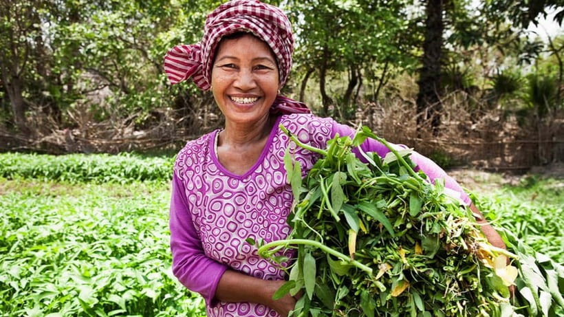Back to Basics: Siem Reap Village Tour in Cambodia - Key highlights worth marking