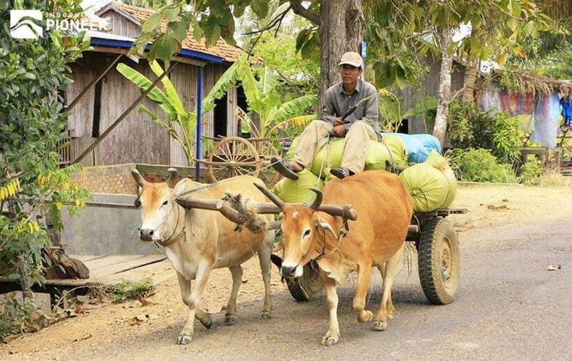 Back to Basics: Siem Reap Village Tour in Cambodia - Hands-on craft time: basket weaving, well digging, and rice wine making