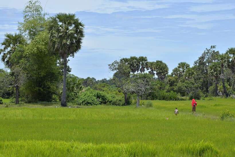 Back to Basics: Village Life Tour from Siem Reap - Key highlights worth your time