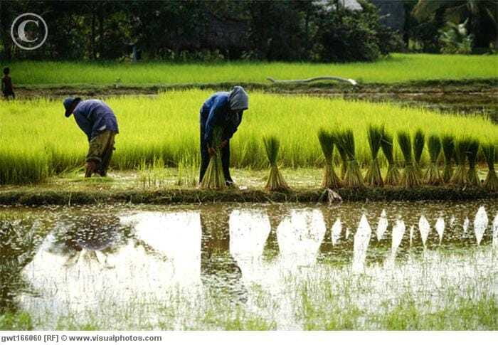 Back to Basics: Village Life Tour from Siem Reap - Water, employment, and sustainable development, explained where it hits hardest