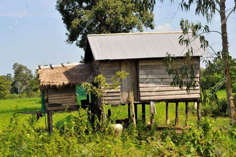Back to Basics: Village Life Tour from Siem Reap - Buddhist temple time at village Pergola, with Khmer music in the air
