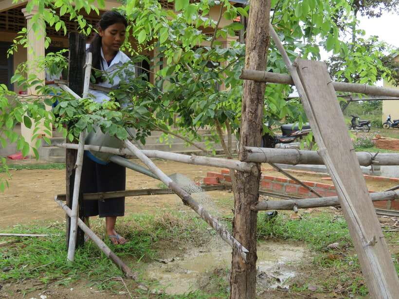 Back to Basics: Village Life Tour from Siem Reap - From Siem Reap to the Countryside: Tuk tuk pickup and a 4-hour rhythm