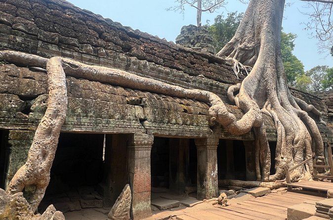 Bangkok to Angkor Wat 2 Days 1 Night tour by flight - Ta Prohm: Tomb Raider ruins with living trees