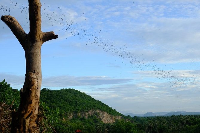 Battambang Full Day Tour from Siem Reap - Bamboo Train, Killing Cave & Sunset - Wat Banan temple and 365 stairs for quieter views