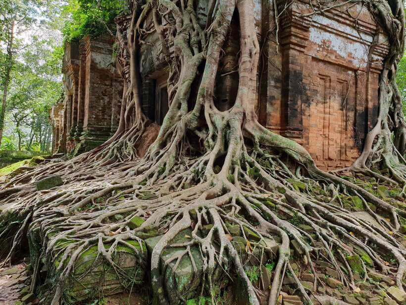 Beng Mealea, Koh Ker & Floating village Day Tour - Guides Make This Tour: English and Real Explanations