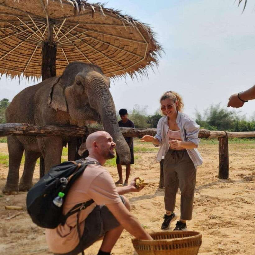 Cambodia Elephant Sanctuary and Banteay Srey Temple Tour - Cambodia Elephant Sanctuary and the Elephant Cooking Activity: hands-on, not just photos
