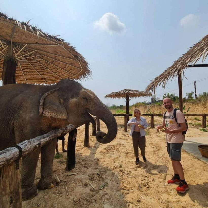 Cambodia Elephant Sanctuary and Banteay Srey Temple Tour - Price and logistics: where the $71 feels fair