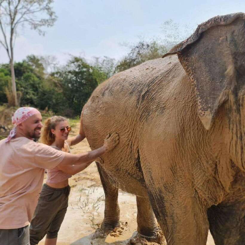 Cambodia Elephant Sanctuary and Banteay Srey Temple Tour - What to bring and what to avoid, so the day stays easy
