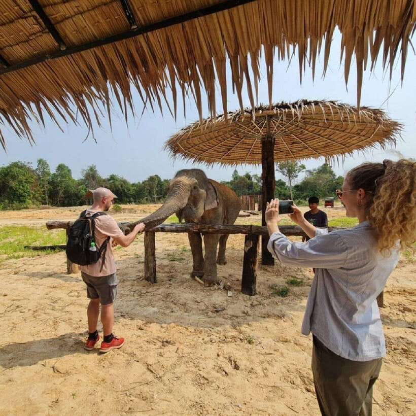 Cambodia Elephant Sanctuary and Banteay Srey Temple Tour - Who this tour suits best