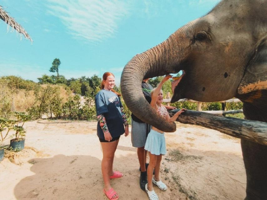 Cambodia Elephant Sanctuary and Banteay Srey Temple Tour - Final call: should you book this Cambodia Elephant Sanctuary and temples day?