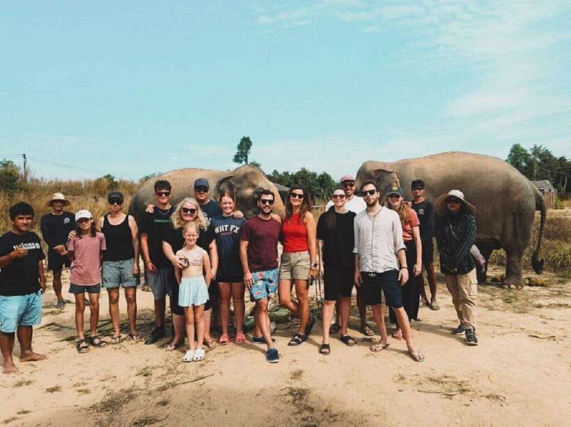 Cambodia Elephant Sanctuary and Banteay Srey Temple Tour - Walking with elephants: how the day feels when you slow down