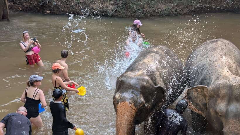 Cambodia Elephant Sanctuary Include Hotel Transfer Roundtrip - Muddy Bath With Elephants, Mess Included