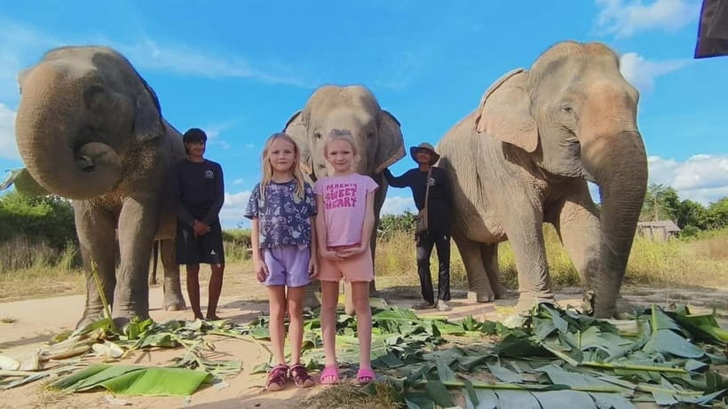 Cambodia Elephants Haft Day Experiences from Siem Reap - Key highlights worth your time