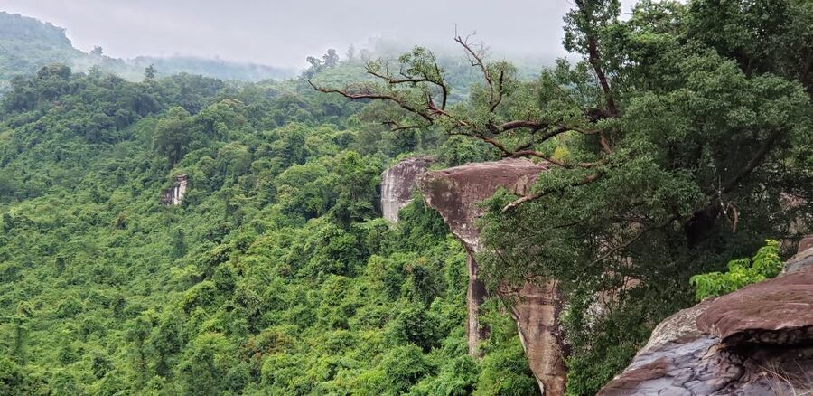 Cambodia Elephants Haft Day Experiences from Siem Reap - Price and value: what $97 buys you