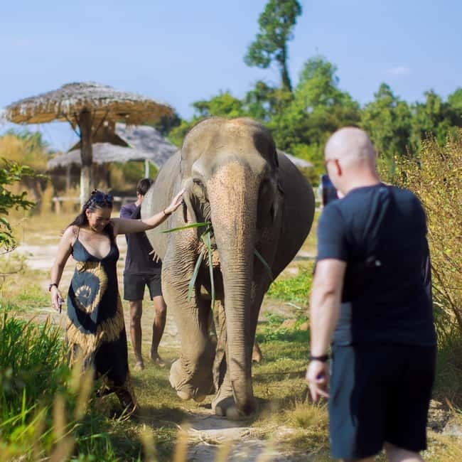 Cambodia Elephants Haft Day Experiences from Siem Reap - Meal prep: making food you can feel good about