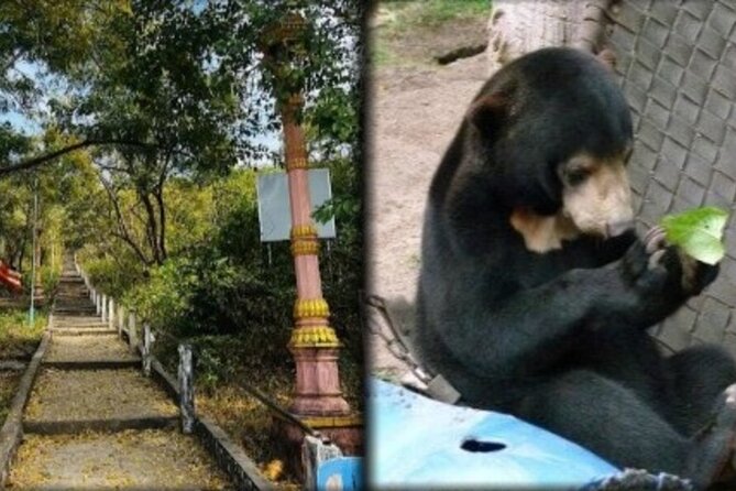 Cambodia Wildlife Sanctuary and Countryside Tour - Key things to know before you go