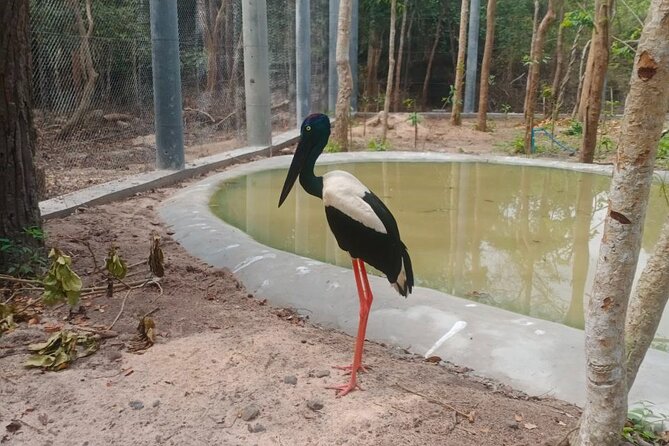 Cambodia Wildlife Sanctuary and Countryside Tour - Who should book this tour, and who might skip it