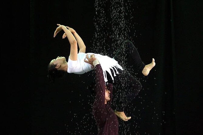 Cambodian Circus Show in Siem Reap by Phare with Hotel Pick-Up - Price and timing that actually work for Siem Reap nights