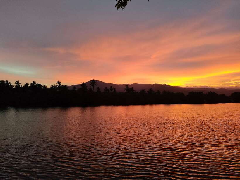 Countryside tours include pepper plantations - A Half-Day Tuktuk Circuit From Epic Art Cafe