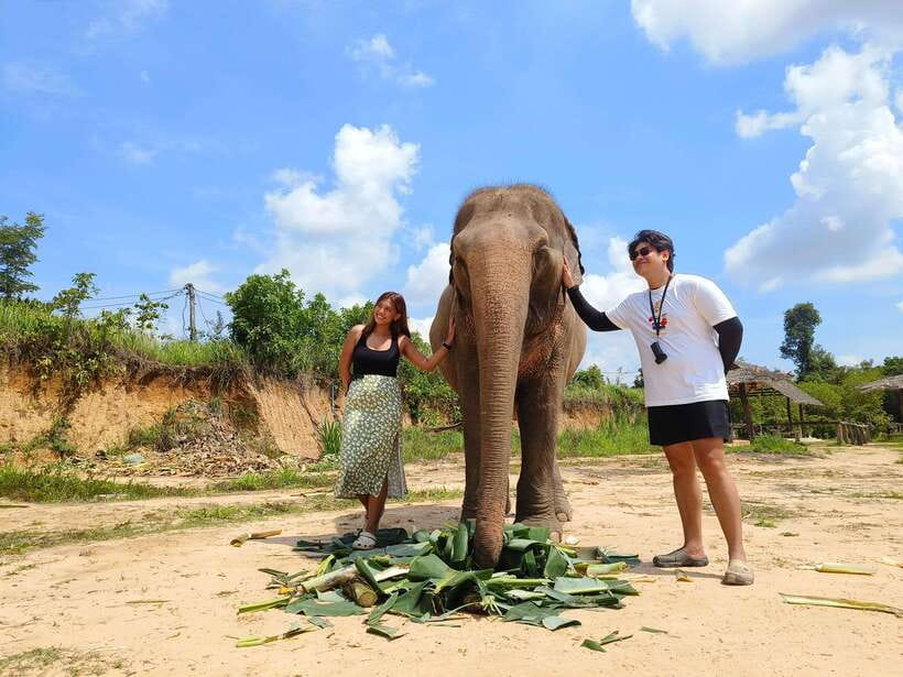 Elephant Sanctuary Cambodia, Pickup and drop off included - Mud Bath Time: More Than Mess, It’s Sun and Insect Protection