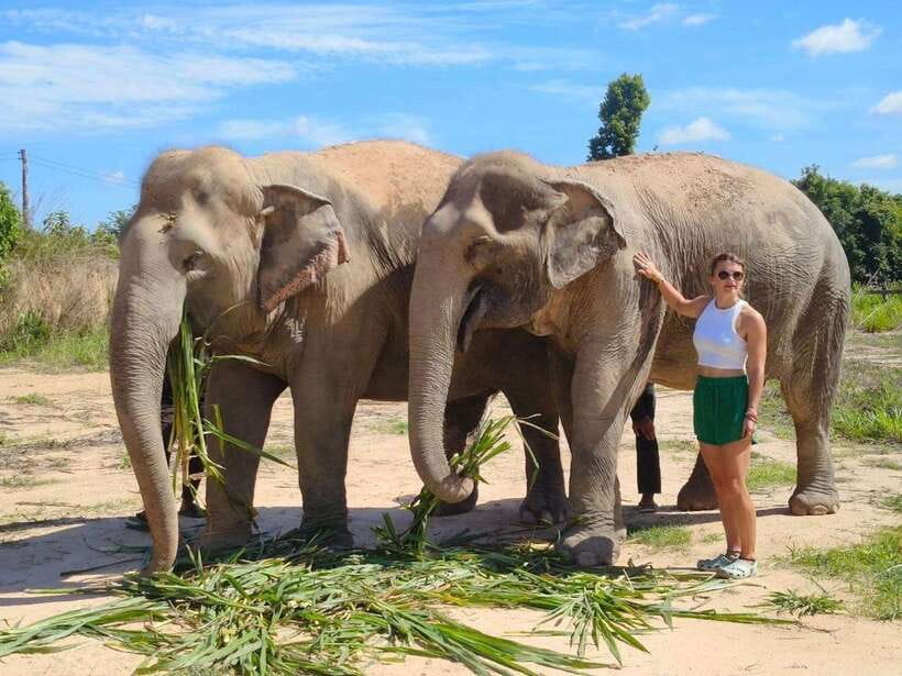 Elephant Sanctuary Cambodia, Pickup and drop off included - Price and Value: Is $58 a Fair Deal for 3 Hours?