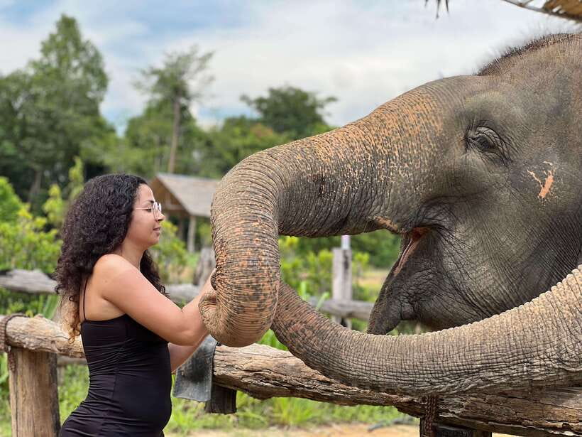 Elephant Sanctuary Cambodia, Pickup and drop off included - Meeting the Guide and Learning What Ethical Care Looks Like