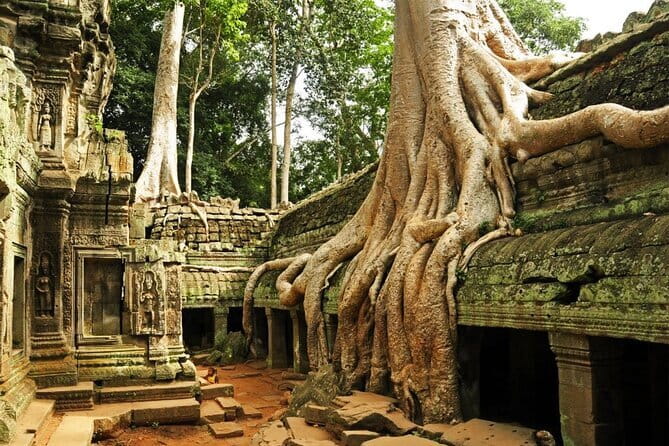 Exclusive Angkor temples and Small group temples tours - Key points to know before you go