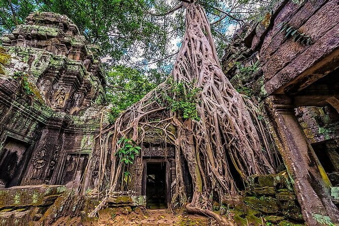 Explore Angkor Sunrise Spectacle a Full Day Temples Tour - Price and logistics: what $45 really buys you